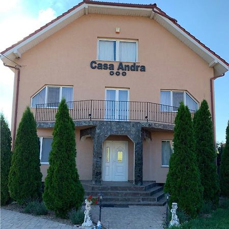 Хостел Casa Andra Сату-Маре Экстерьер фото